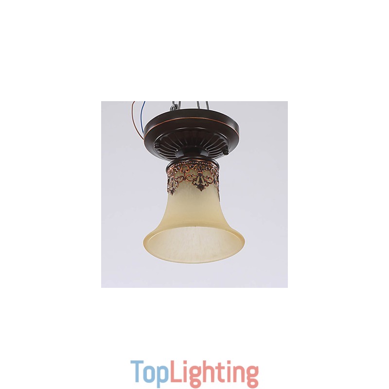 Europe Type Style Rural Classical Absorb Dome Light Lamp