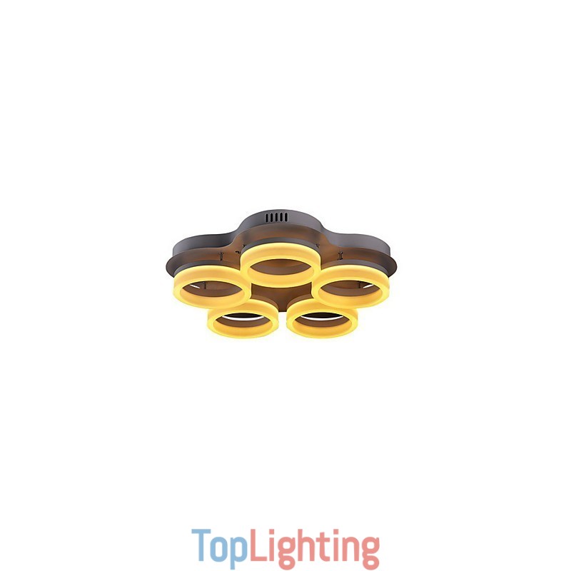 Elegant Design acrylic ceiling Light Fixtures