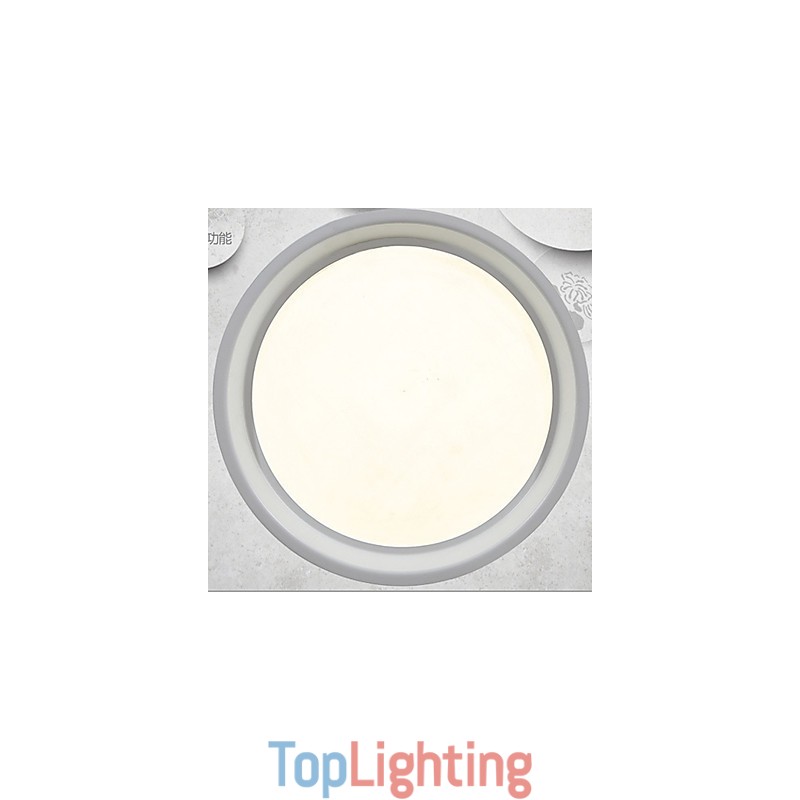 Light Flush Mount Modern Contemporary Ceiling Light Metal