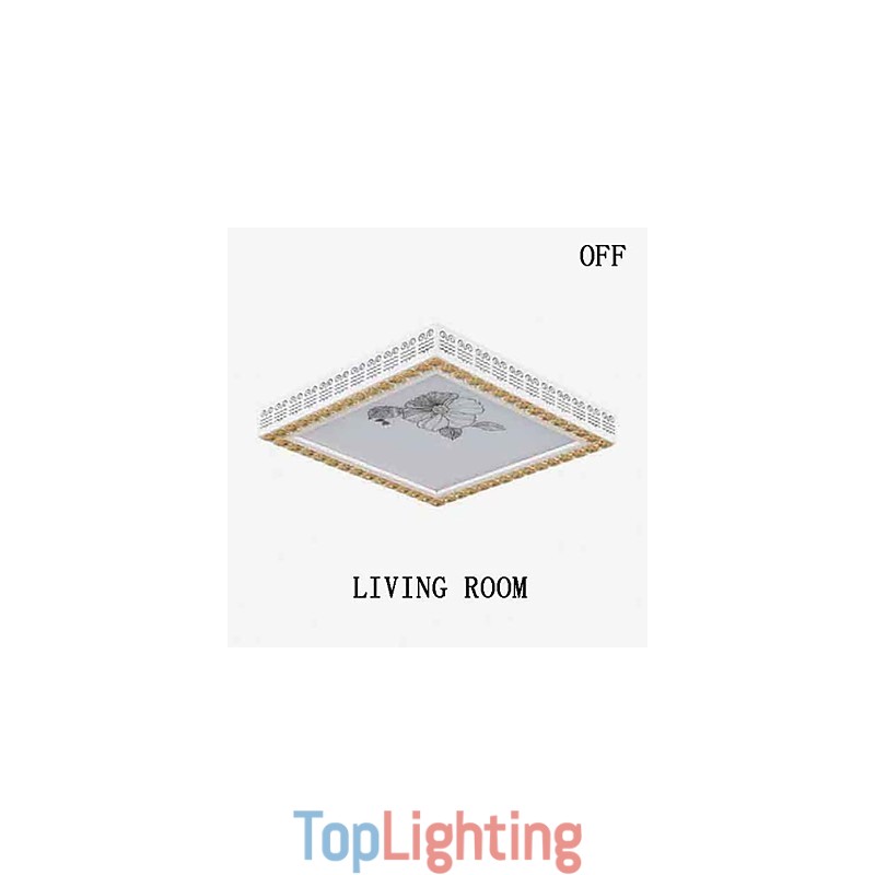 Flush Mount Modern Contemporary Metal