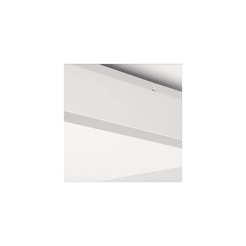 Modern Contemporary Decorative Design Ceiling Light