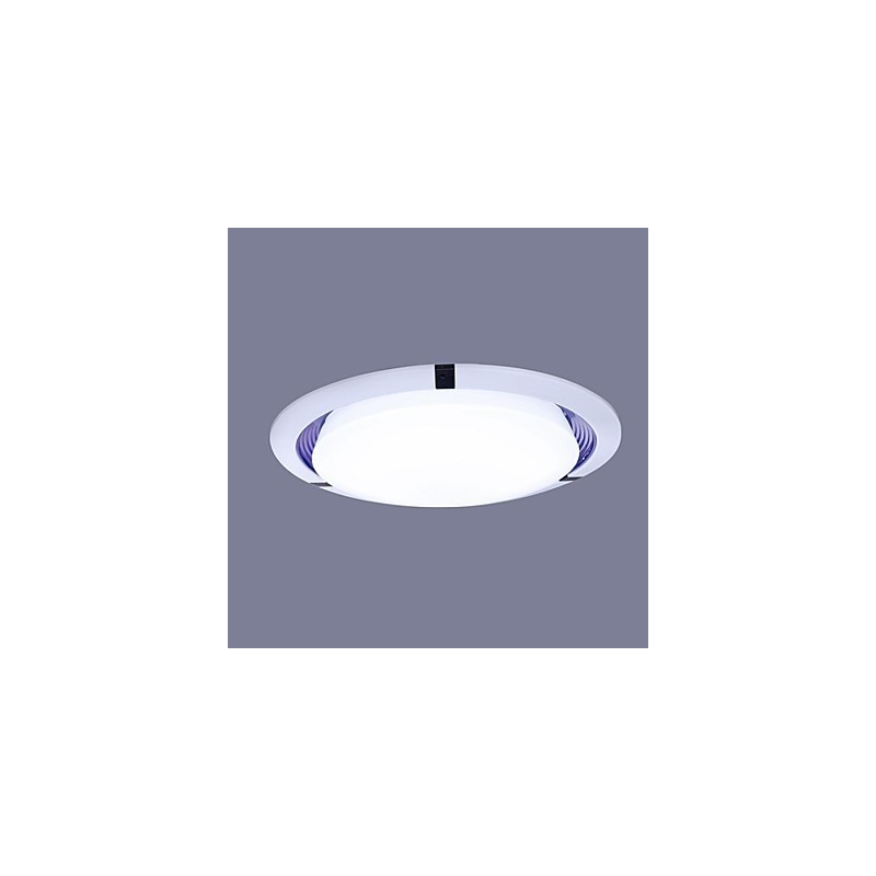 Ceiling Lamp 1 Light Modern Simple Artistic