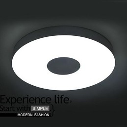 Modern Contemporary Brushed Metal Flush Mount