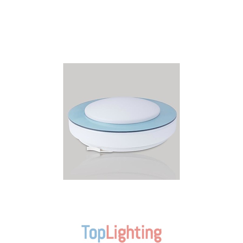 Modern Contemporary Metal Flush Mount