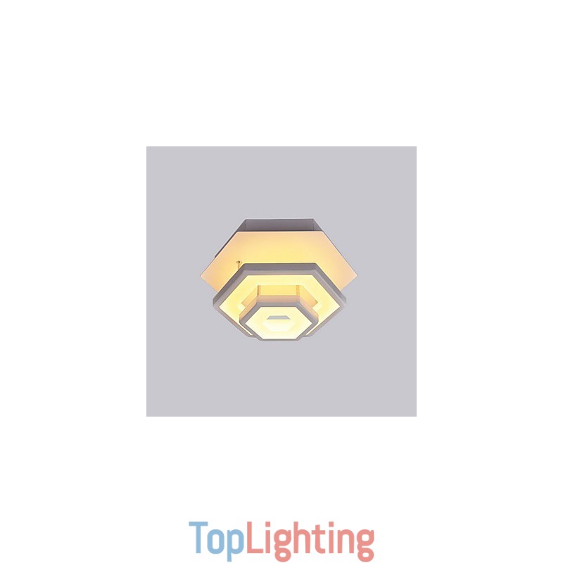 Modern Light Ceiling Light 22W