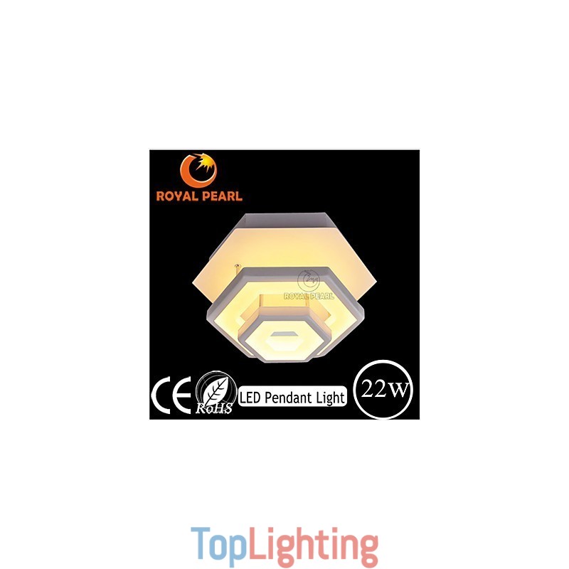 Modern Light Ceiling Light 22W
