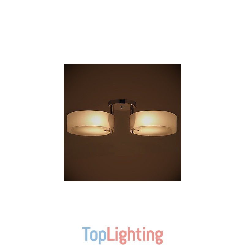 Flush Mount Modern Contemporary 2 Lights Ceiling Light Metal