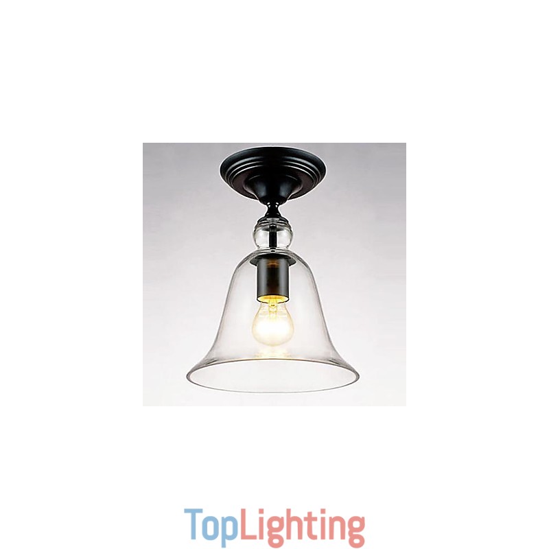 Ceiling Lamps 1 Light Simple Modern Artistic