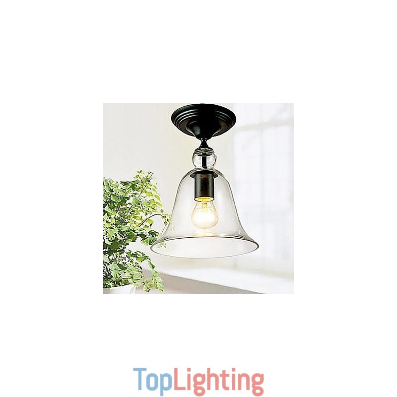 Ceiling Lamps 1 Light Simple Modern Artistic