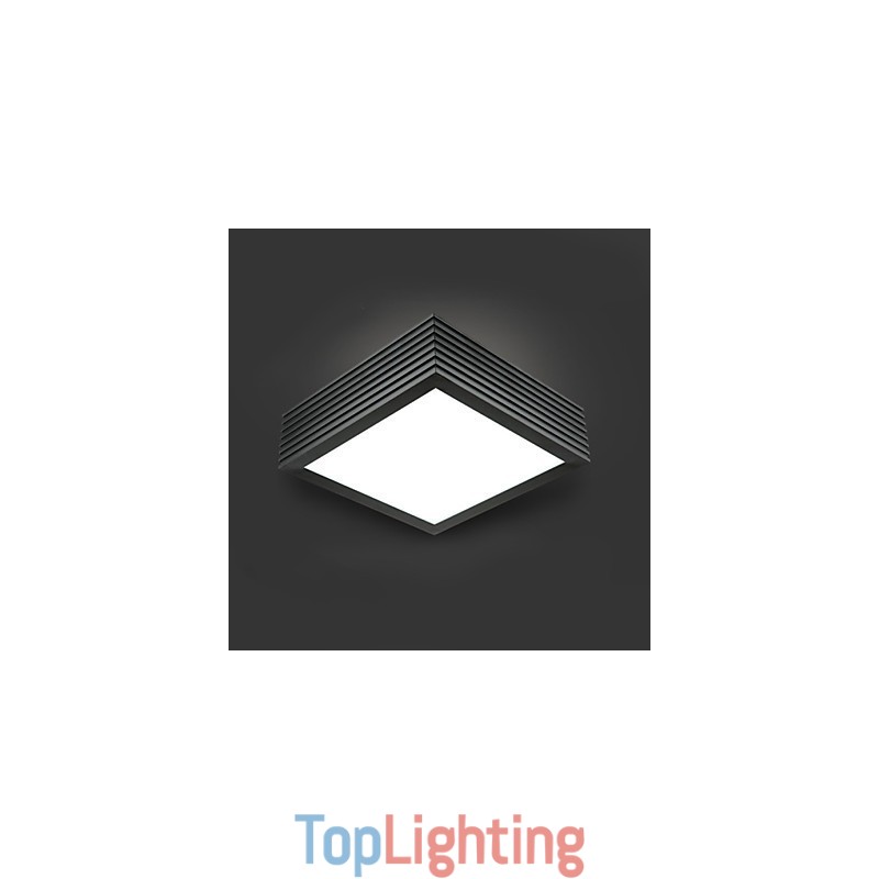 Modern Contemporary Decorative Design Ceiling Light