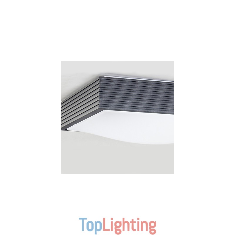 Modern Contemporary Decorative Design Ceiling Light
