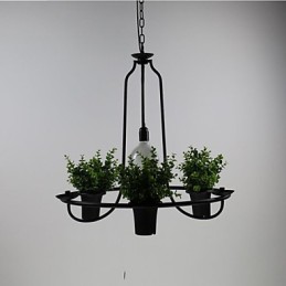 Mediterranean Garden flowers Light