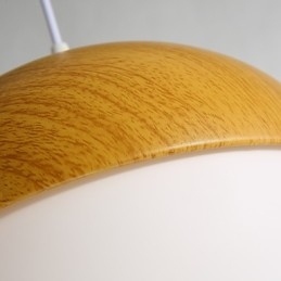 Nordic Contracted Mushroom Creative Nuts Single Head Glass Chandelier Lamp Light