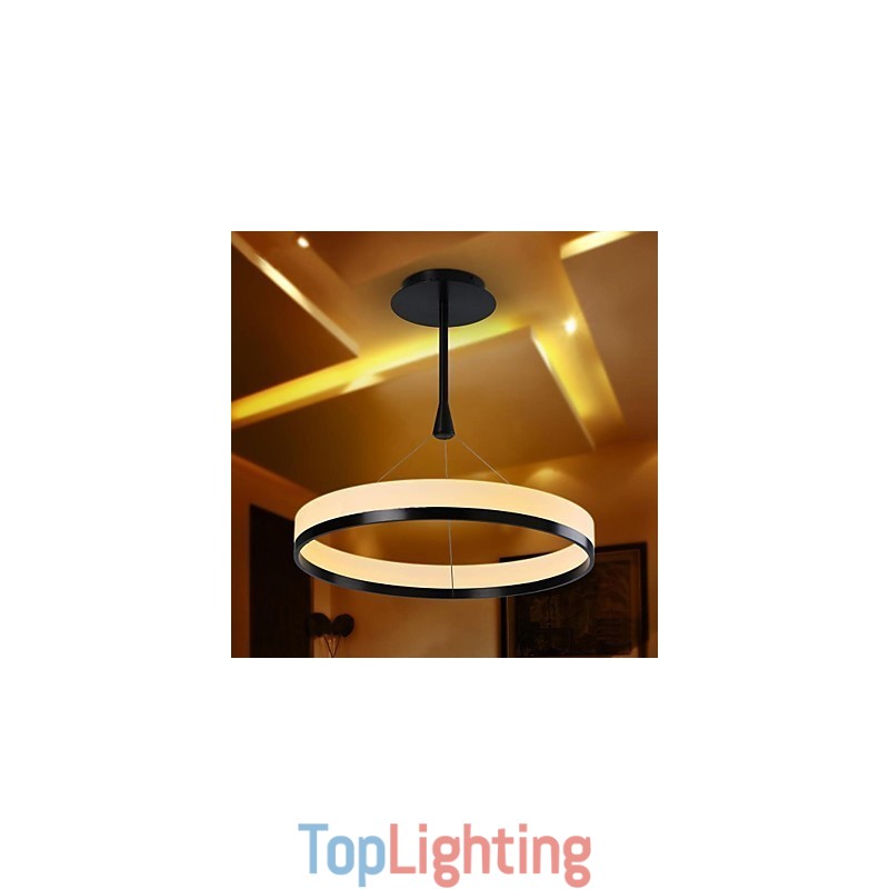Modern Contemporary Others Metal Pendant Light