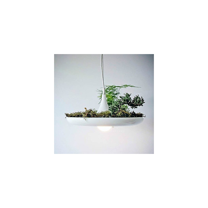 Aluminum Droplight Nordic Creative Contracted Sky Garden Lamps And Lanterns Light No Soil Plant
