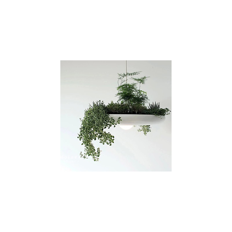 Aluminum Droplight Nordic Creative Contracted Sky Garden Lamps And Lanterns Light No Soil Plant
