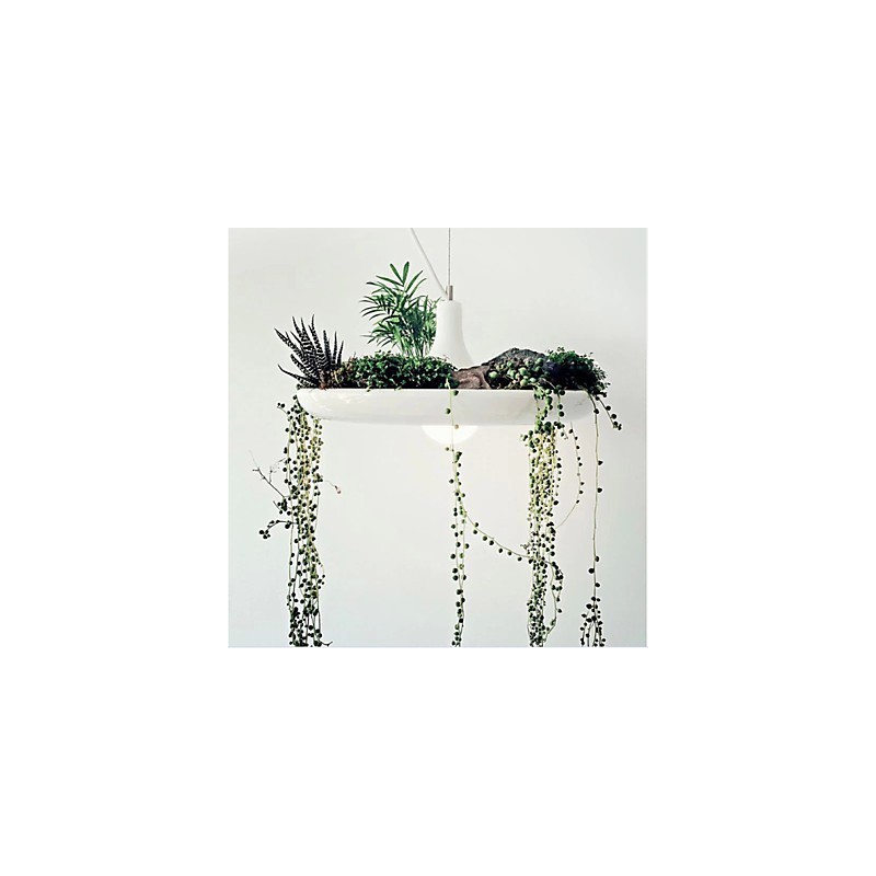 Aluminum Droplight Nordic Creative Contracted Sky Garden Lamps And Lanterns Light No Soil Plant