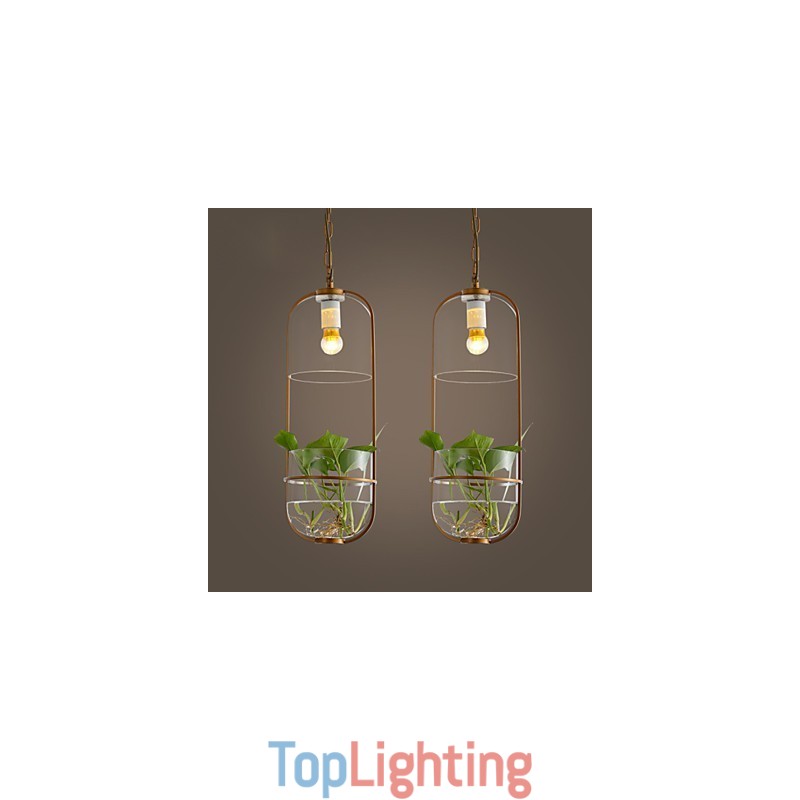 Modern Contemporary Decorative Design Pendant Light(Does Not Include Plants